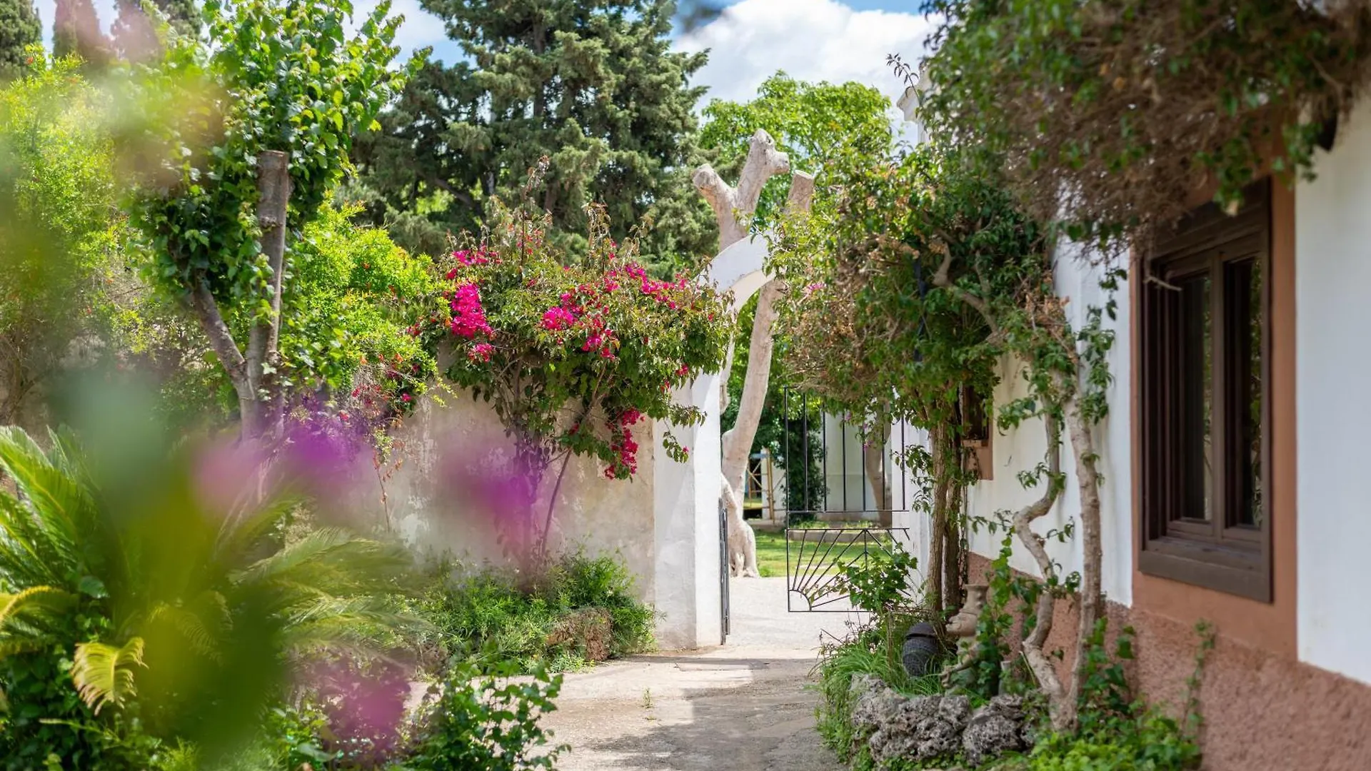 Moli Dels Reis Villa Palma de Mallorca 0*,